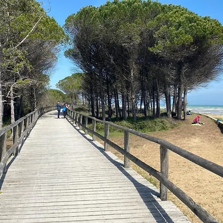 Wonderful Seafront In