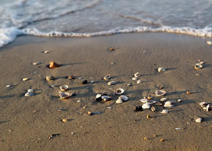 Wonderful Seafront In *