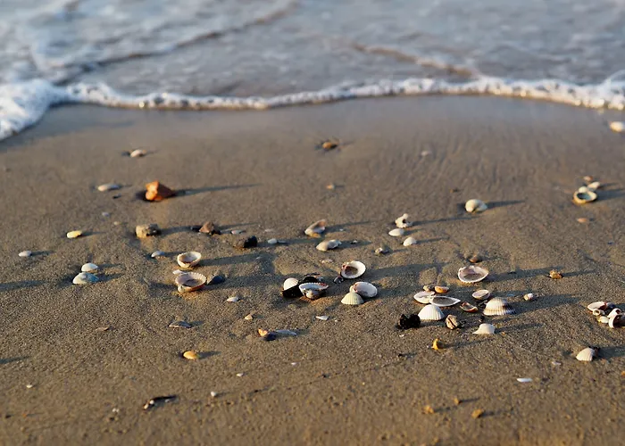 Апартаменти Wonderful Seafront In Бібіоне